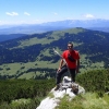 Dragan